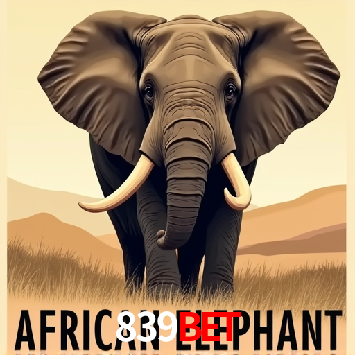 A Experiência Imersiva dos Cassinos Ao Vivo no 839Bet